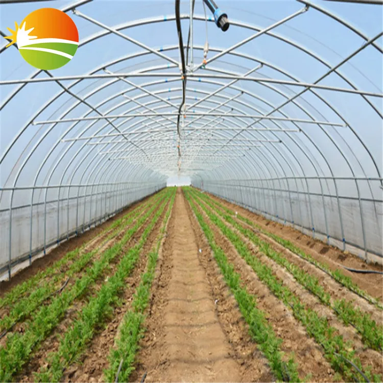 excellent quality mini greenhouse small tunnel greenhouse