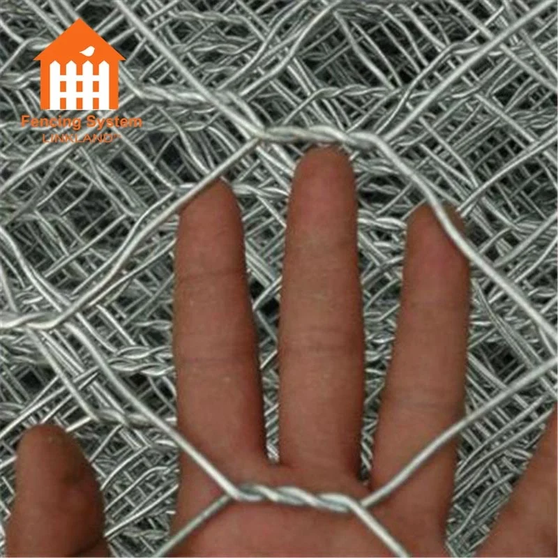 Galvanized Hexagonal wire mesh/Chicken wire mesh