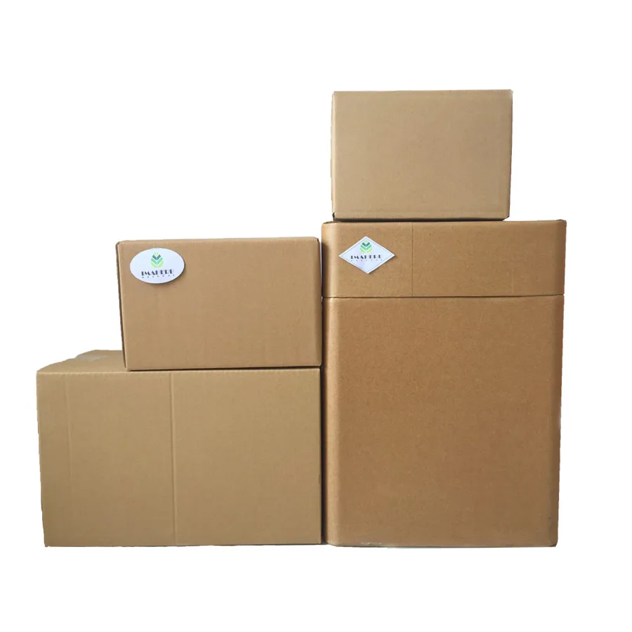 
Wholesale Enzyme Lactase 