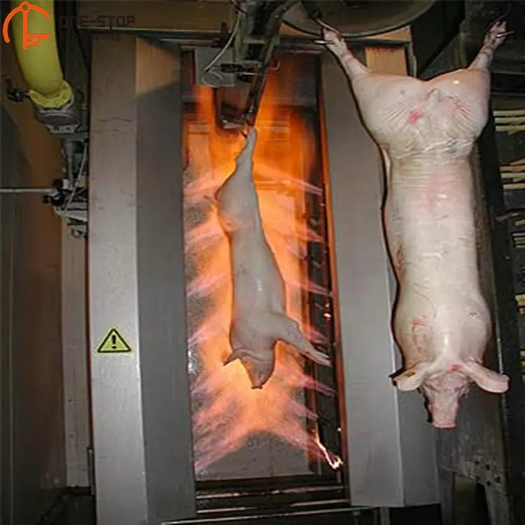 Pig Abattoir Plant Standard Swine Meat Processing Plant with Pig Slaughter Equipment