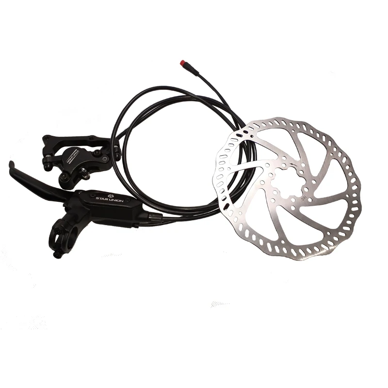 european market 36v 250w hydraulic brake electric bike motor kit