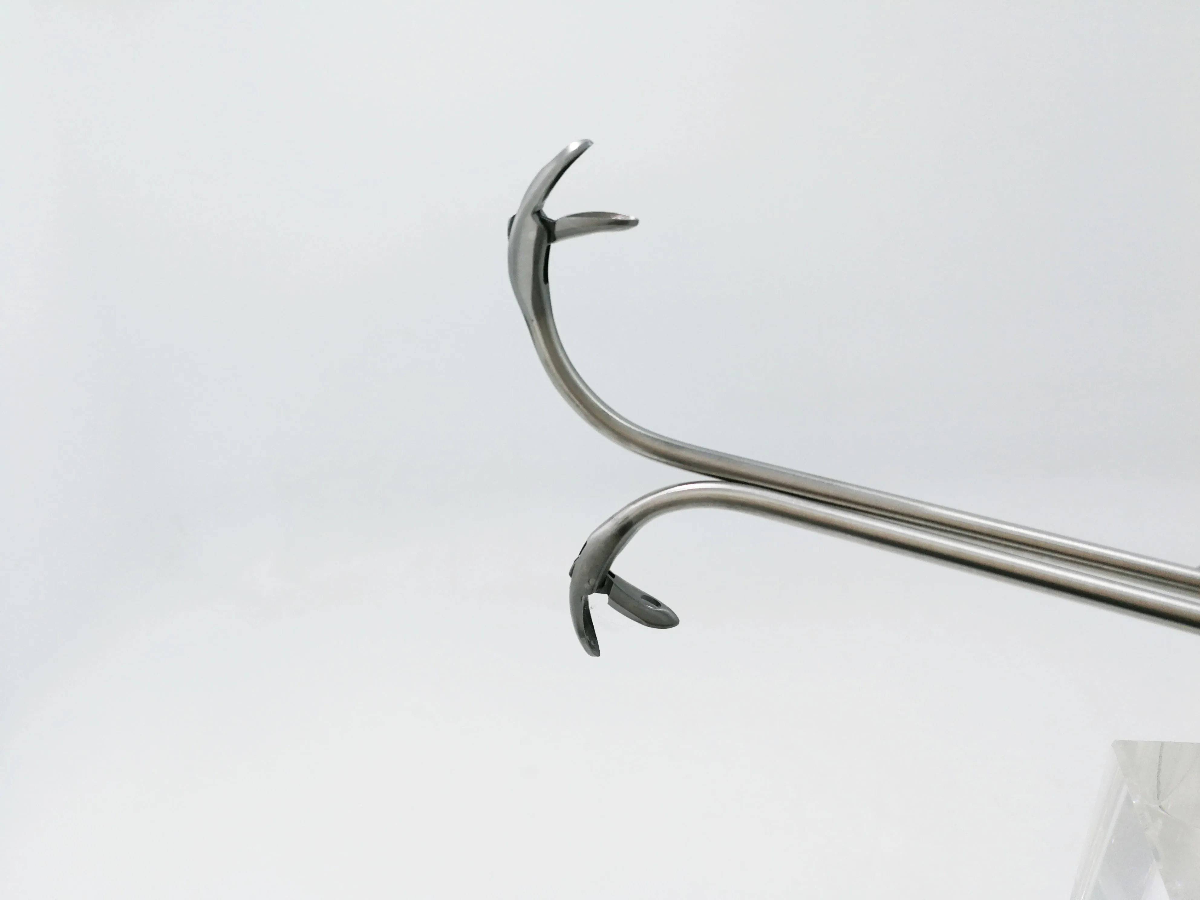 Medical Sinus ENT blakesley nasal forceps