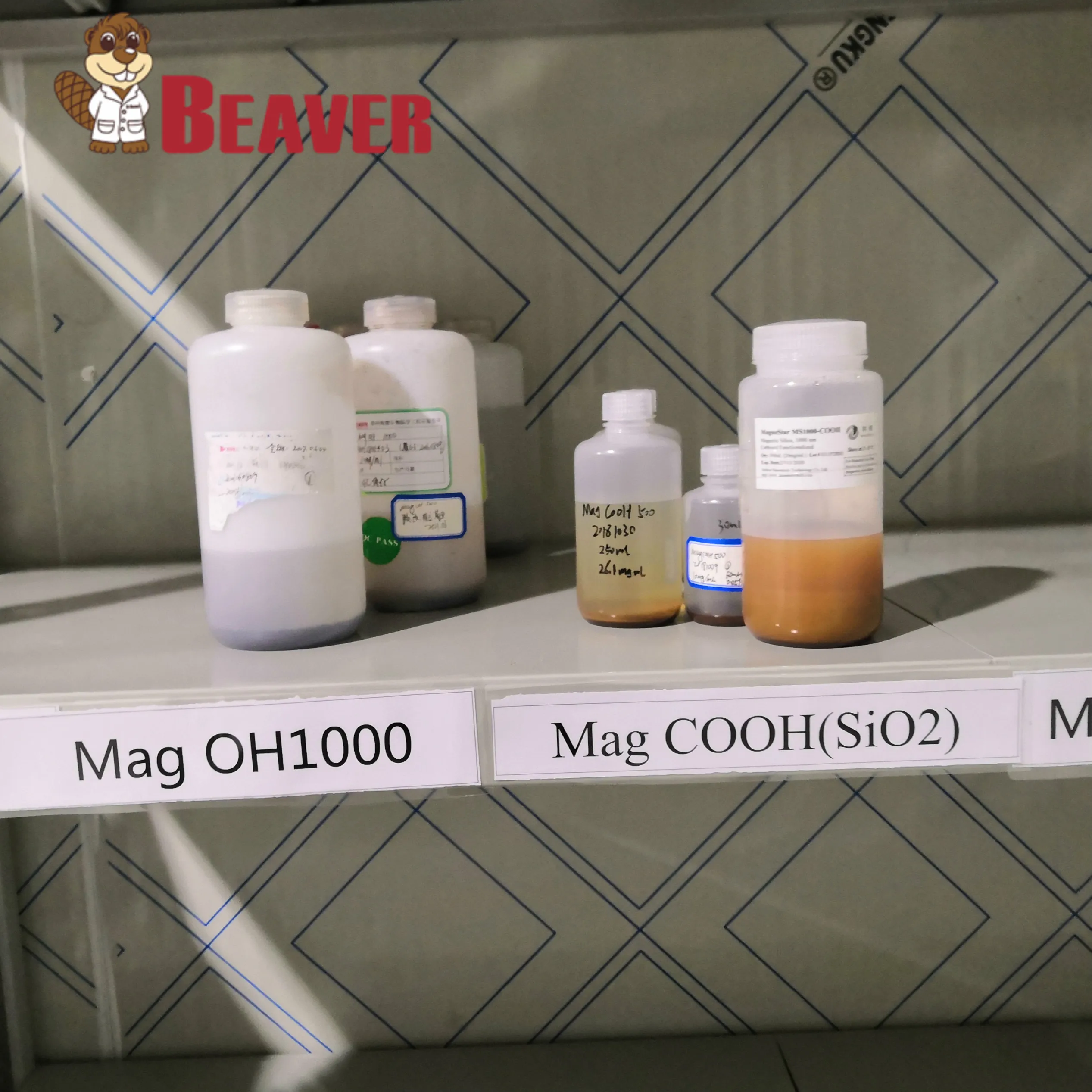 Magnetic nanoparticles Fe3O4 magrose coated beads for Strep-Tactin (Strep-tag II) proteins purification