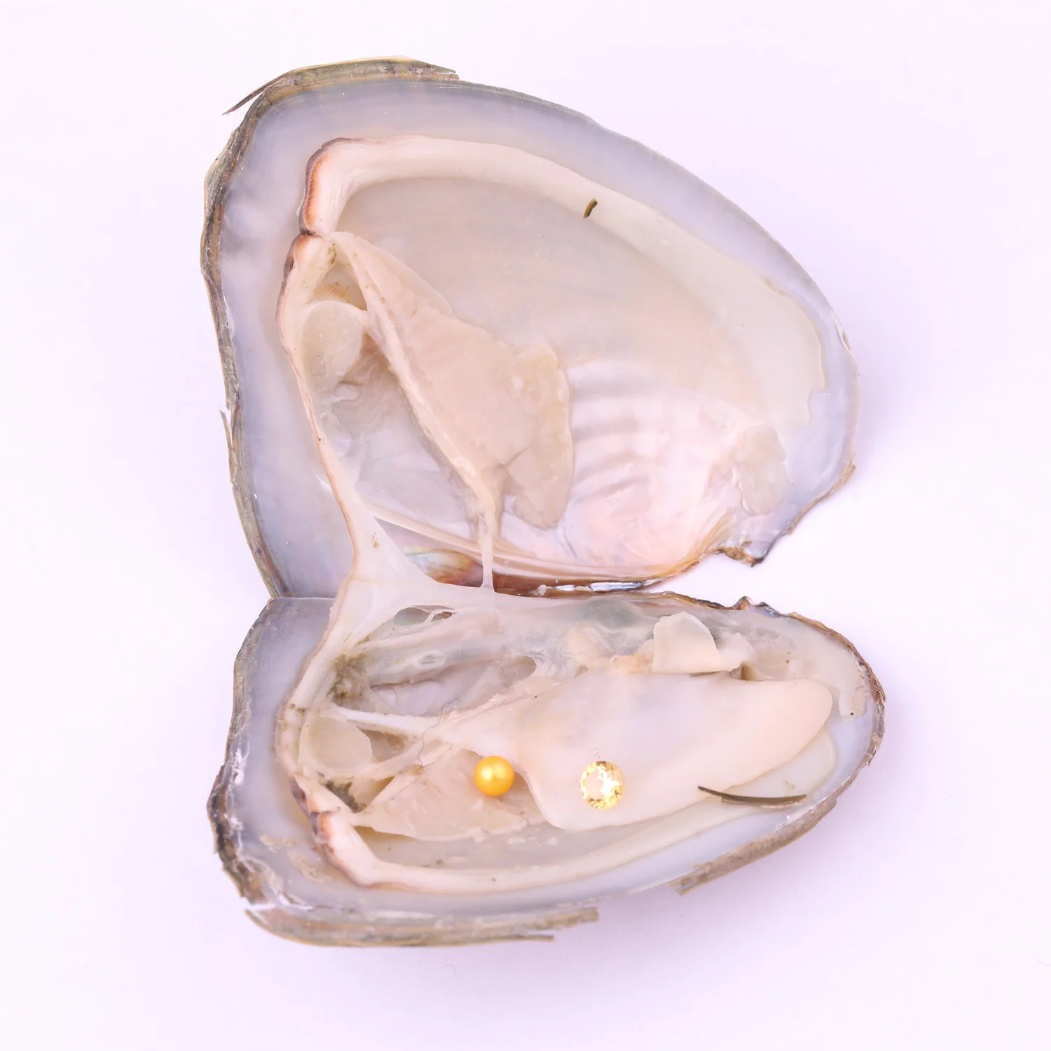 AAA+ grade 3-4mm Mini Natural pearl with 4mm gemstones in Freshwater Oyster Shells