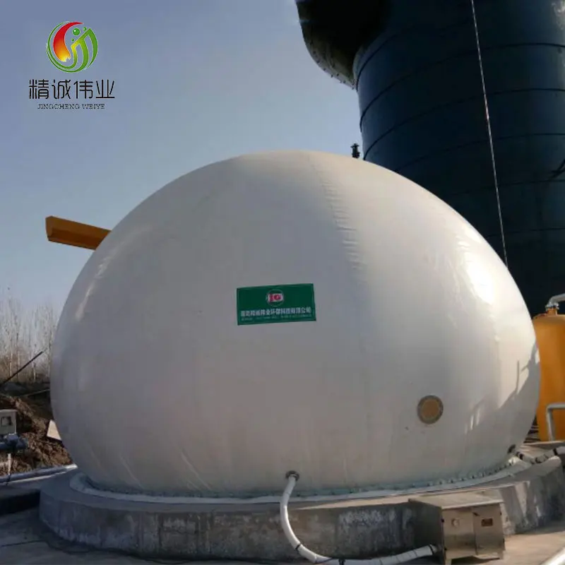 100-10000 cubic meter biogas plant project for industry purpose