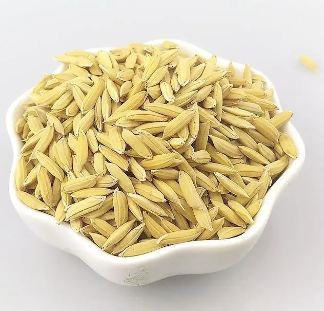 Industrial air source dryer heat pump bean paddy drying machine