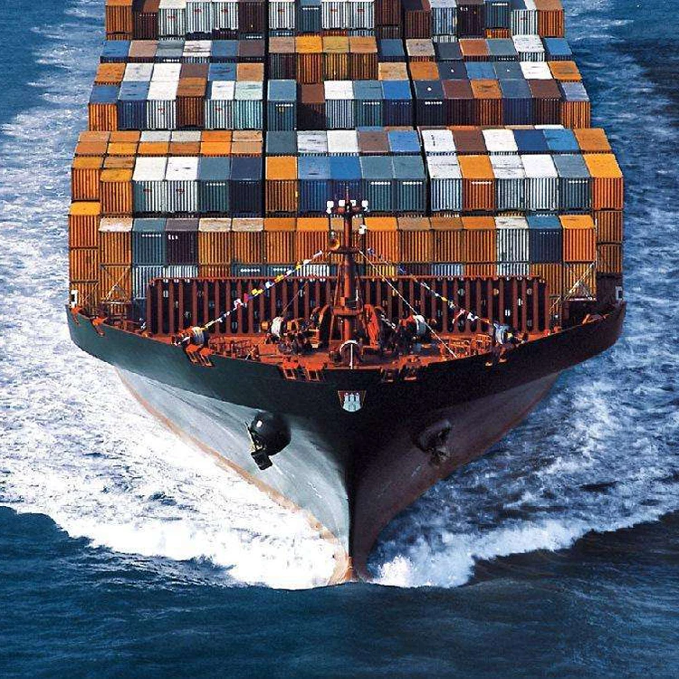 Гавань дешевые морские перевозки Доставка из Китая в bejaia Алжир