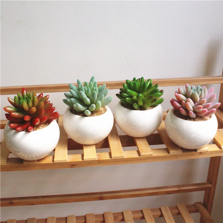 Desk decoration Artificial Succulents Plants potted  fingers shape plant for home decoration