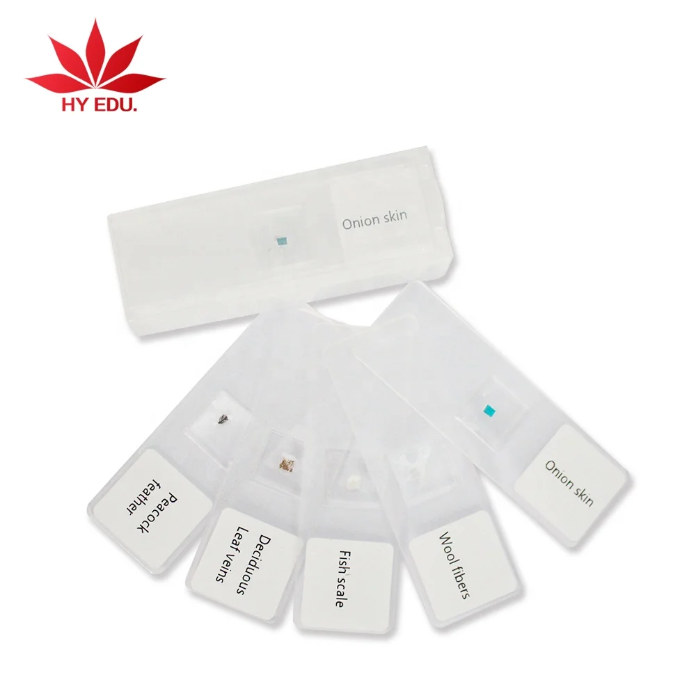 Hot selling child plastic teaching toys plastic prepared slides for microscope