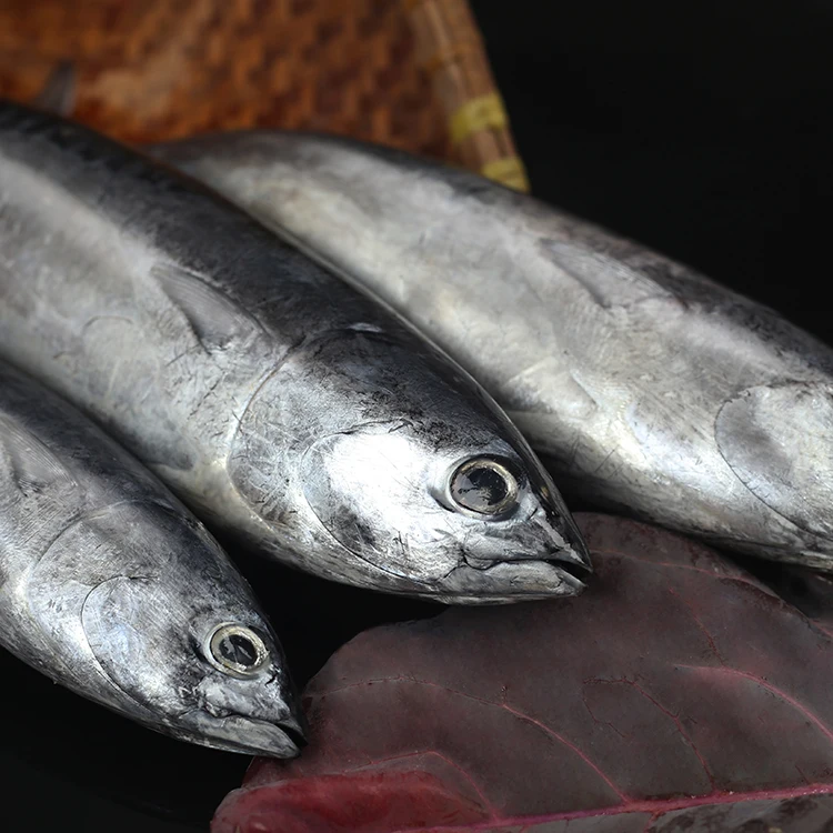 
2020 new frozen skipjack tuna fish with good price 