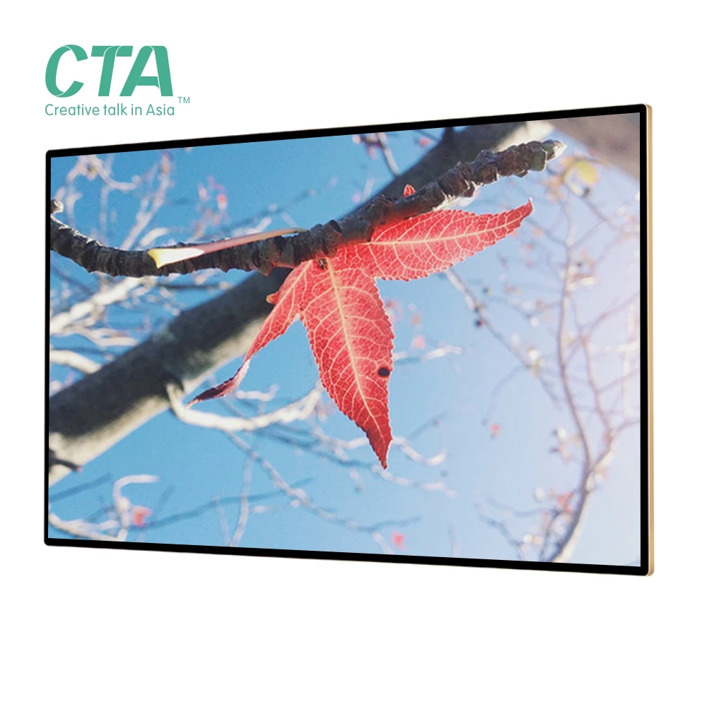 Sexy lcd media player digital signage screens