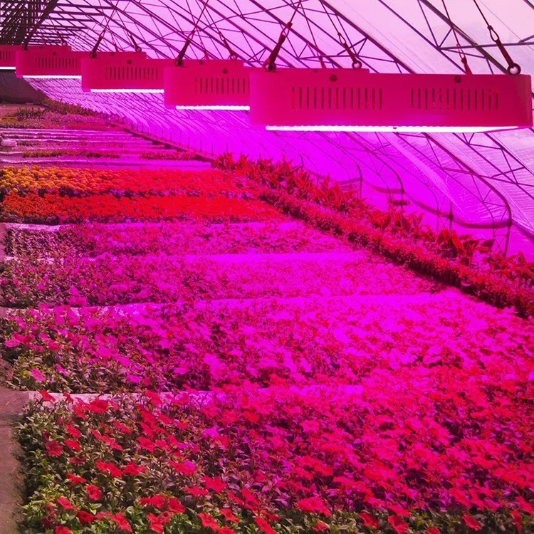 Best Price 600W Full Spectrum Led Plant Grow Light For Indoor Greenhouse