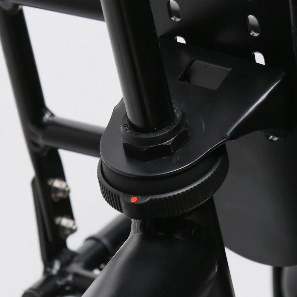 TXED Retro 250W cargo bike 2 wheel city e bicycle for women