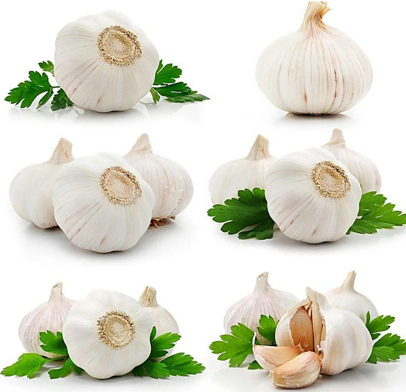
Nature Garlic oil 