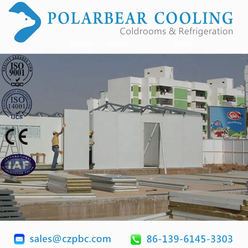 PU insulation sandwich panels for CA controlled atmosphere cold storage