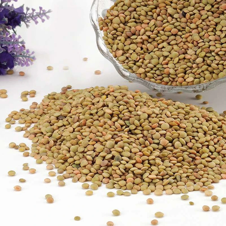 lentil peeling machine 200kg/h dry lentils dehuller  lentil peeler spanish lentil husking machine masoor/channa lentil plant