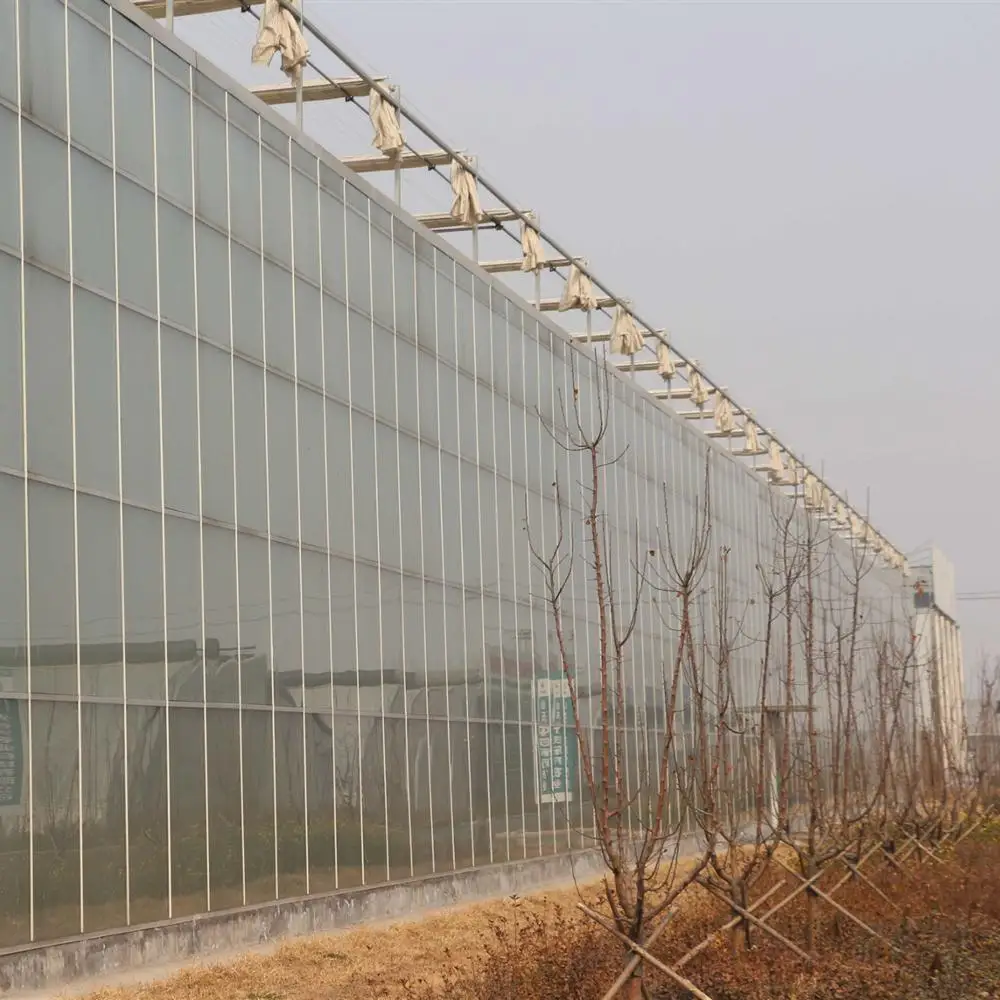 Top Quality Polychannel Glass Greenhouse for Hydroponic Products/Seed Breeding Cultivation