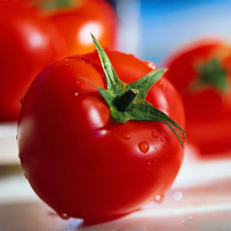 Элегантные сладкие лучшие семена томатов для теплицы