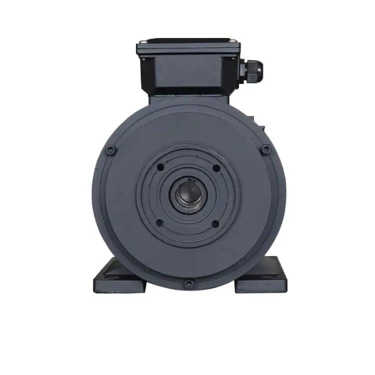 HS 713-4 0.55KW 0.75HP Hollow Shaft Motor AC 3 Phase 415V 50HZ