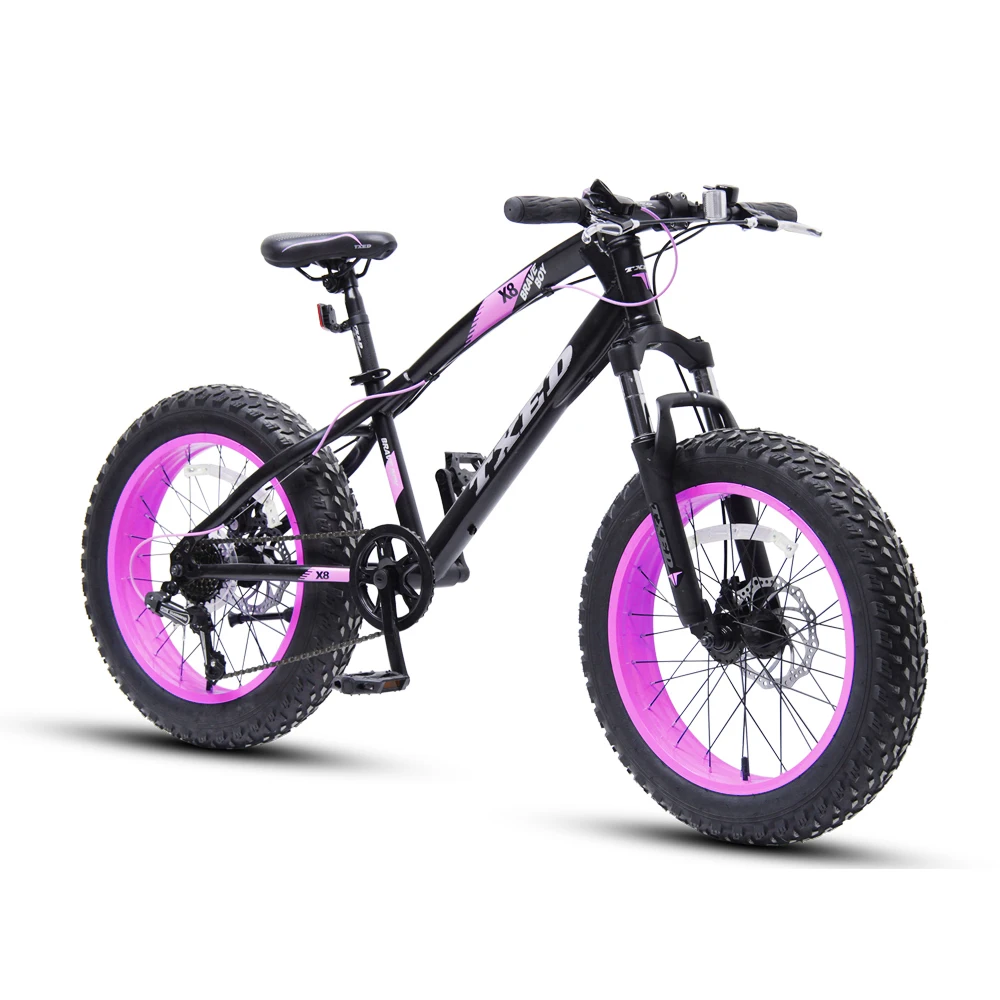 MTB now model mountain snow Bike With Fat Tire