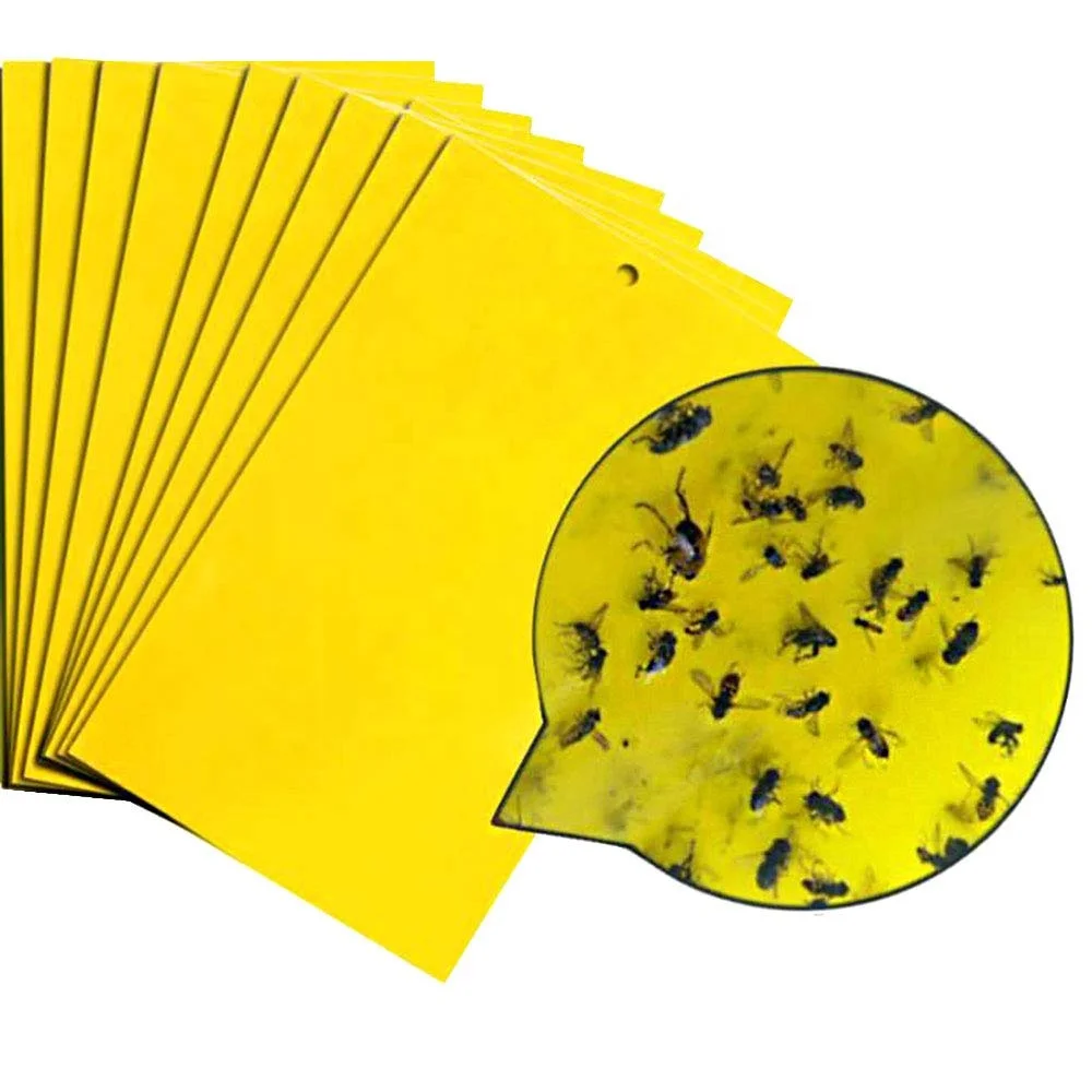 Новый стиль для борьбы с вредителями на открытом воздухе, убивающие ловушки для мышей устройство пластмассовые фруктовые холодные Ловушки для мух с самыми низкими ценами Fly приманки