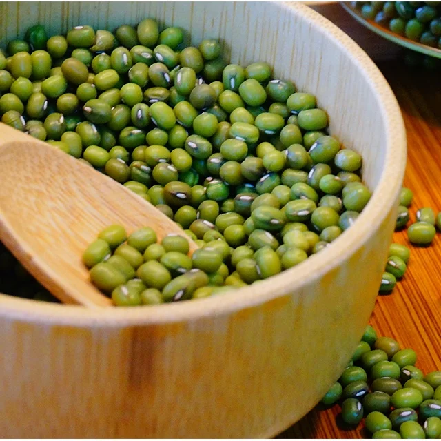 
Organic Common Cultivated Export Green Mung Beans for Sale 