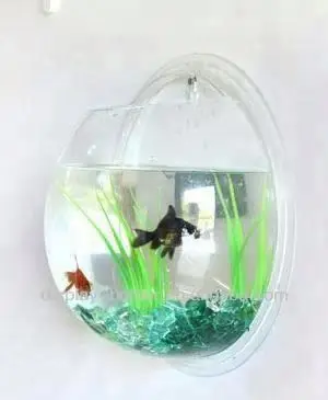 Wall mounted acrylic fish tank in semicircle