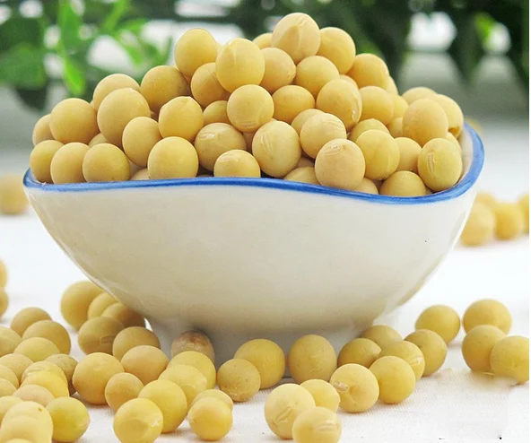 Industrial air source dryer heat pump bean paddy drying machine