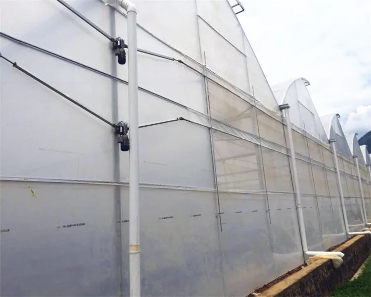 The Cheapest and Easily Installed Agricultural/ Commercial Green House