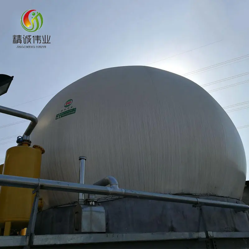 100-10000 cubic meter biogas plant project for industry purpose