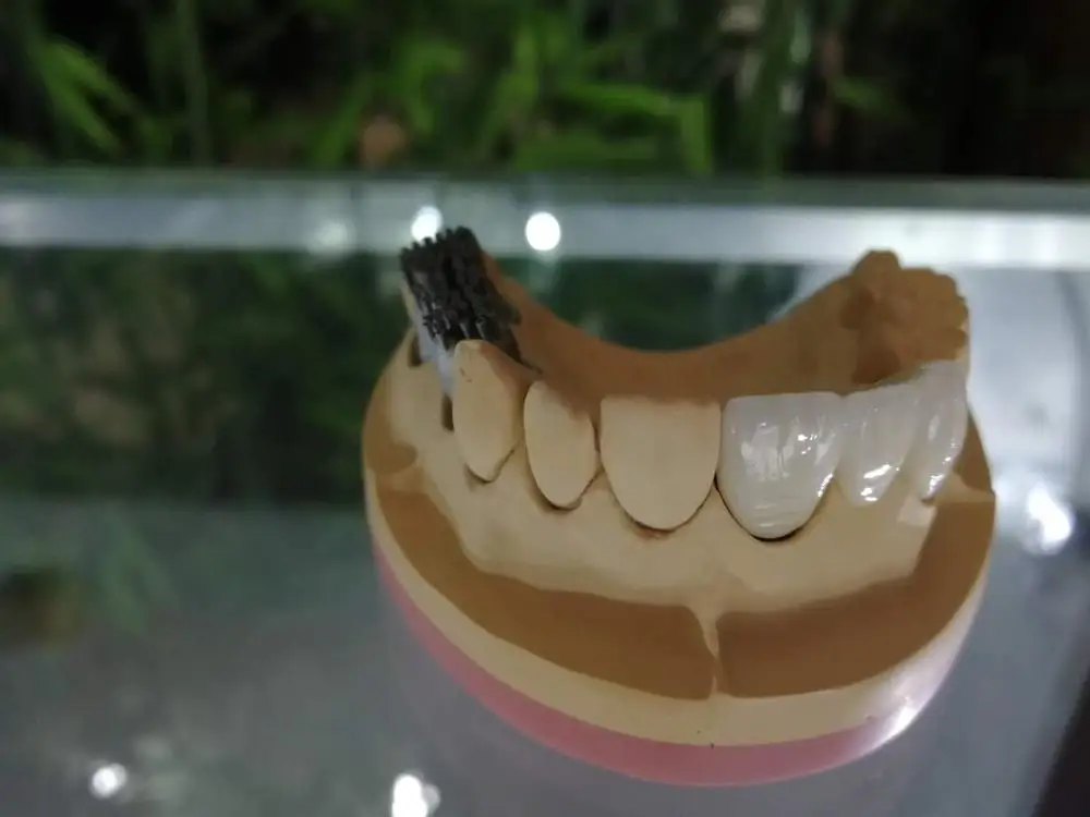 dental consumables  porcelain false teeth