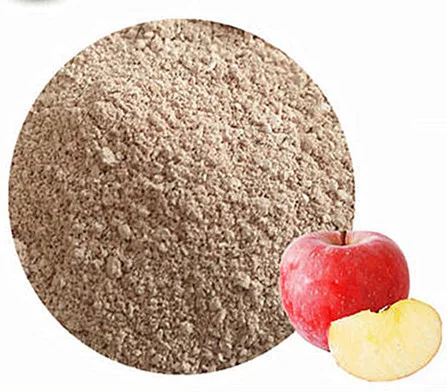 GMP Certified Manufacturer Supply Apple Peel Extract/Natural fruit extract bulk apple polyphenols extract