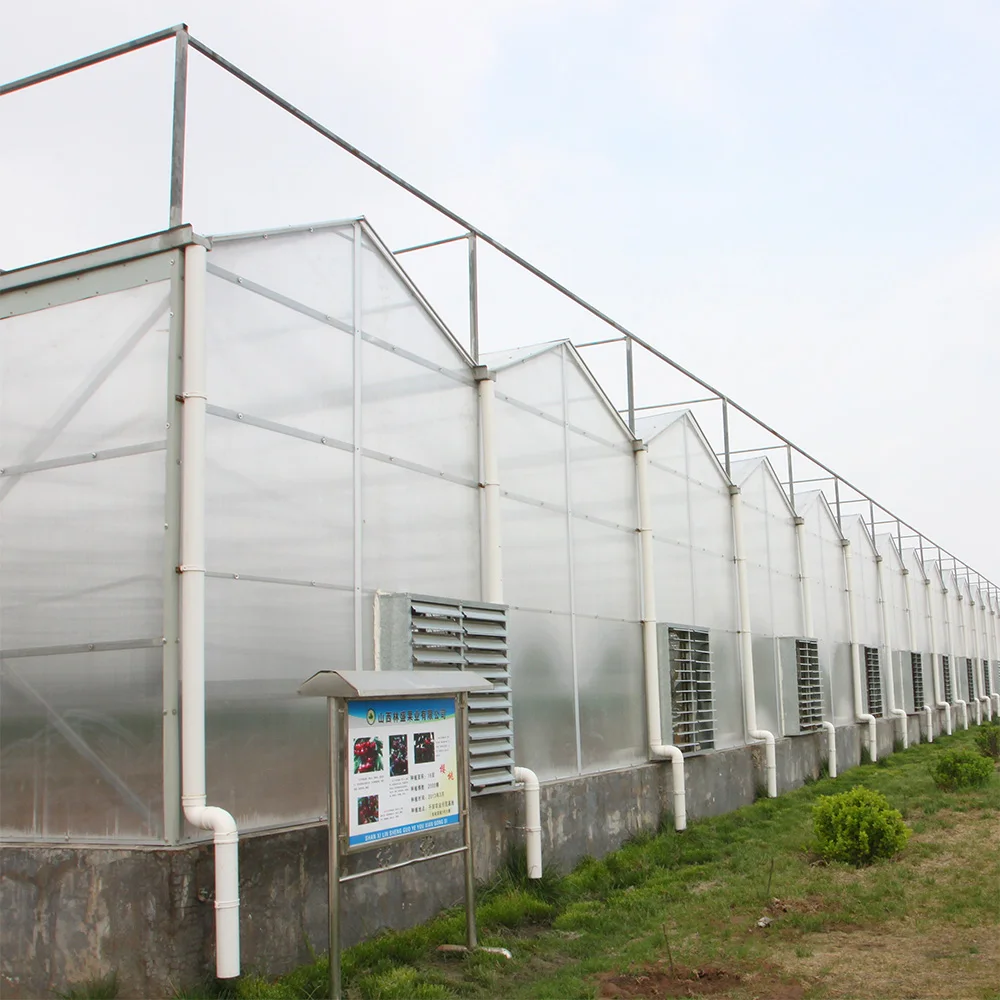 high light transmission greenhouse glass panels with 8mm polycarbonate sheet