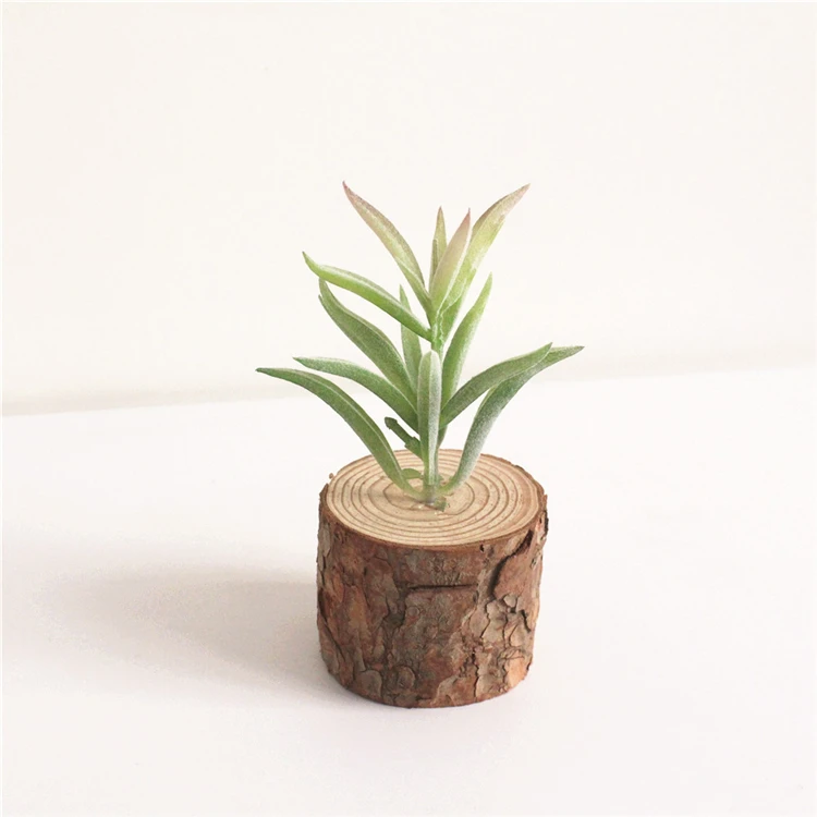 Small Table decoration Artificial Succulents plant potted with wooden base for house indoor decoration
