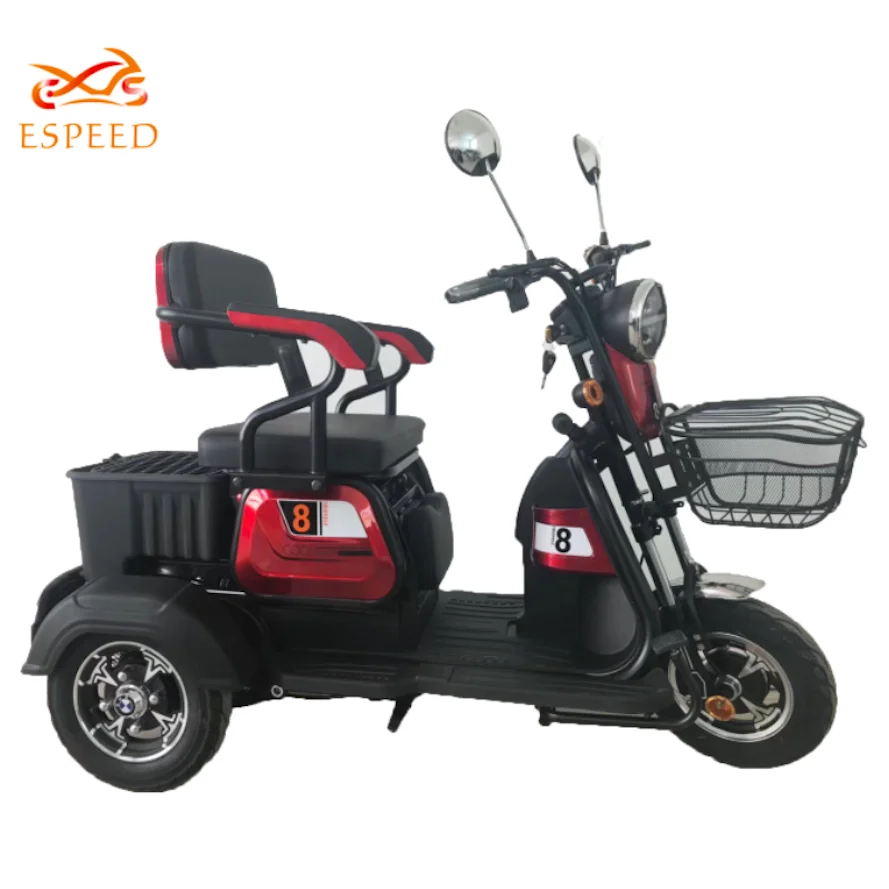 China newest 3 wheel electric cargo bike scooter for old man