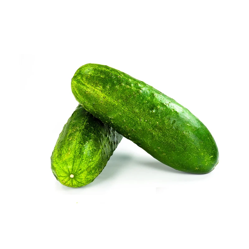 Горячая Распродажа семена китайского овоща Гибридный семена фруктов, огурцов