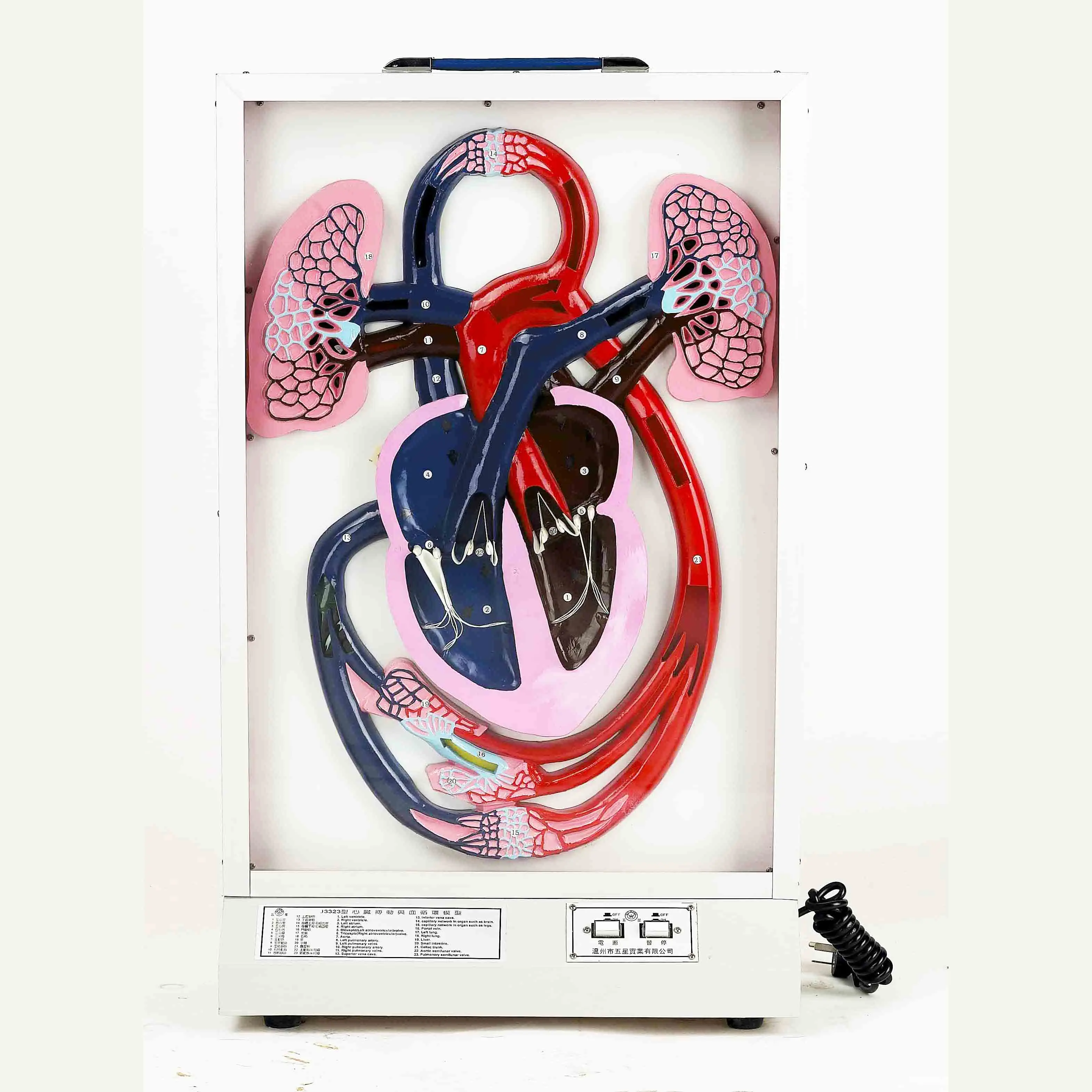 GelsonLab HSEM-002  Electrical Blood Circulation Model Electrical Model of heart pulse and blood circulation
