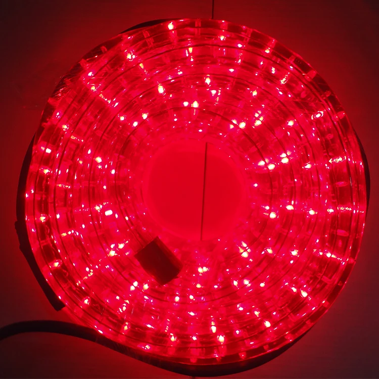 2020 PVC Super Bright  Quick Connect Wire New Style Led Rope Light With Remote Neon Rope Light Dmx Controlled Rope Light