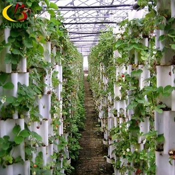 soilless culture Greenhouse Vertical hydroponic growing systems for lettuce