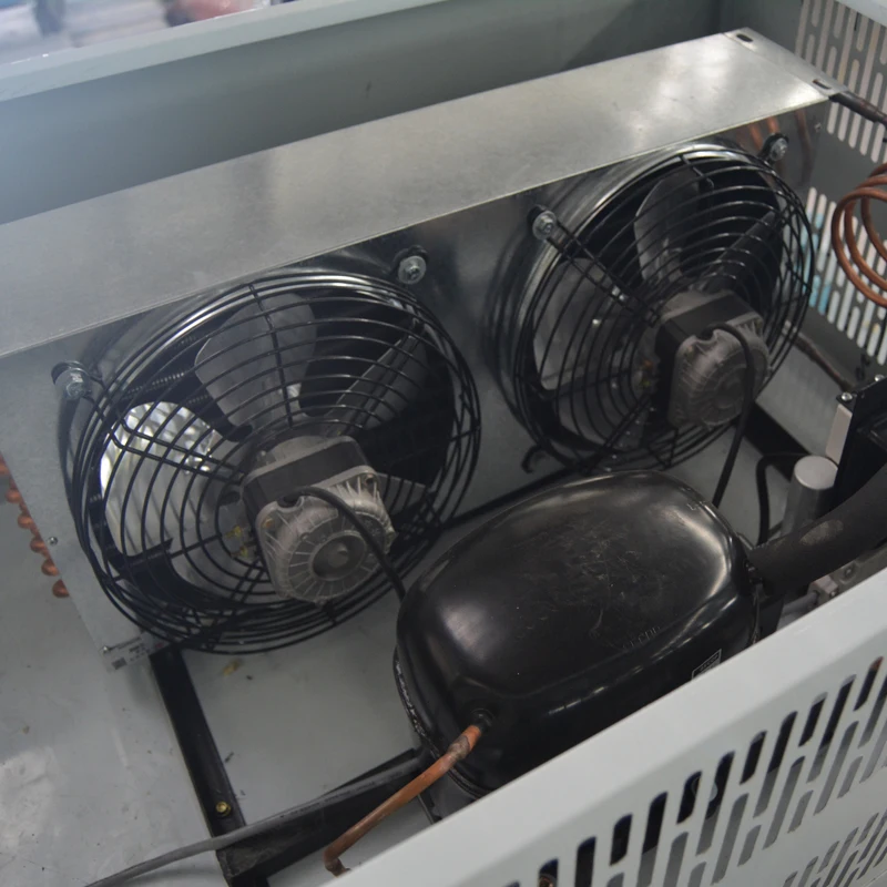 Держите сумки из мультфильма «Холодное сердце»; Пакет со льдом для морозильной камеры Мерчандайзер хранения льда