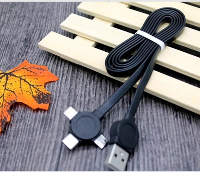 Шэньчжэнь Usb тип кабеля 2 Usb зарядное устройство