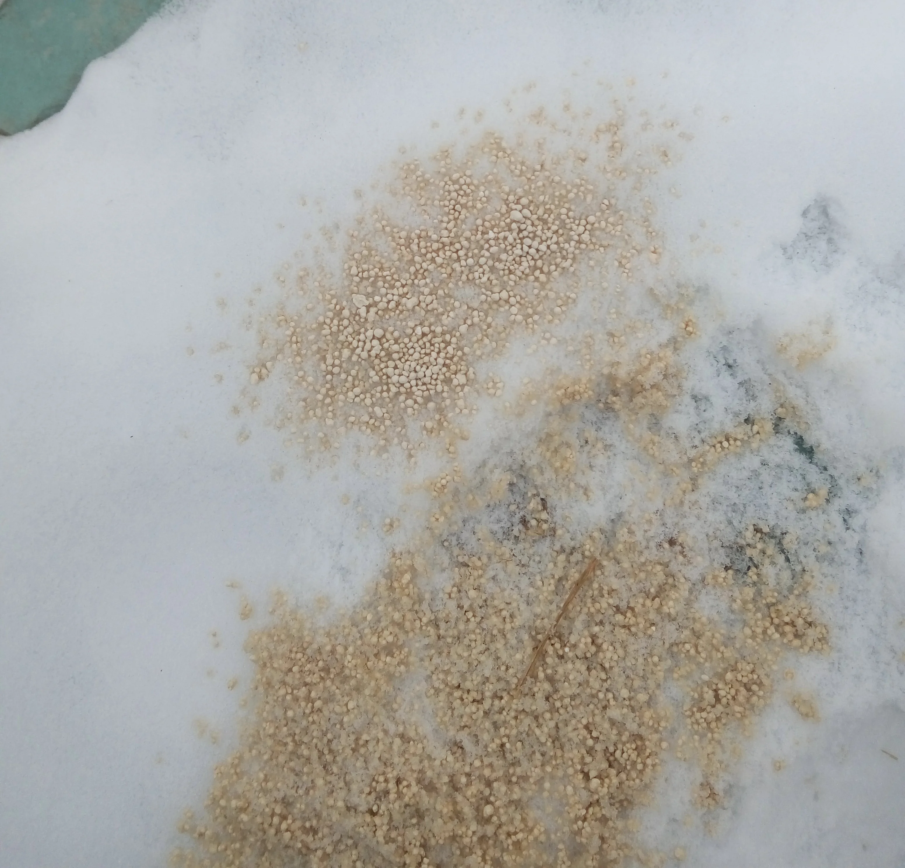 Calcium Magnesium Acetate in industrial grade from EL