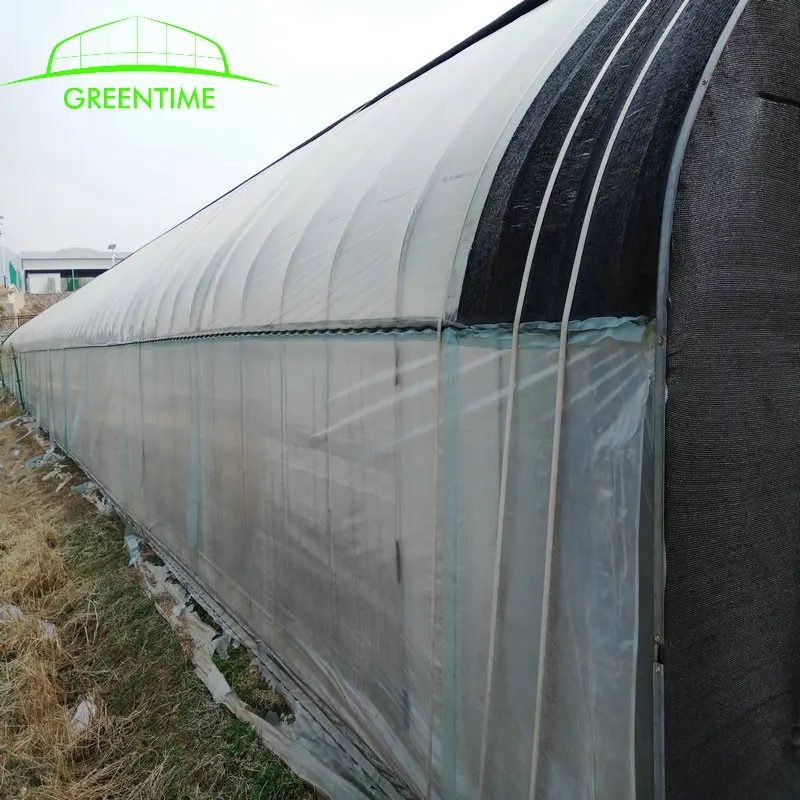 Commercial plastic greenhouse mushroom farm plastic greenhouse of agriculture equipment