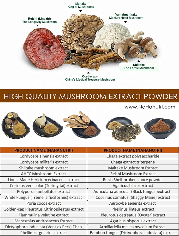 
High Quality immunity enhancing mushroom reishi spore powder 