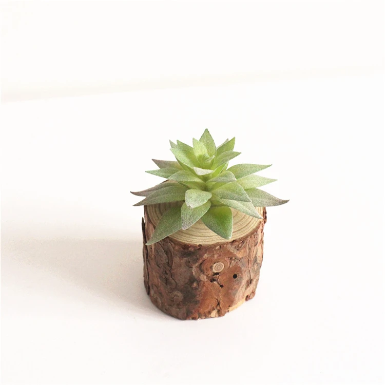 Small Table decoration Artificial Succulents plant potted with wooden base for house indoor decoration