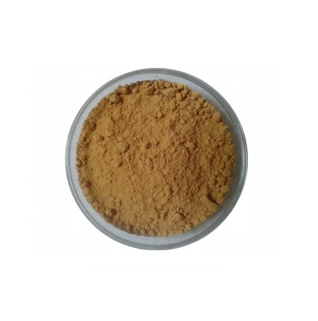 Echinacea purpurea raw herb / powder / echinacea extract polyphenol , choric acid