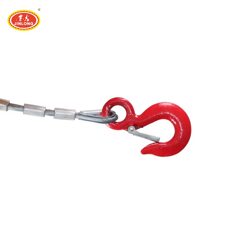 Cheap 100kg 12V 110V dc small electric construction lift hoist crane