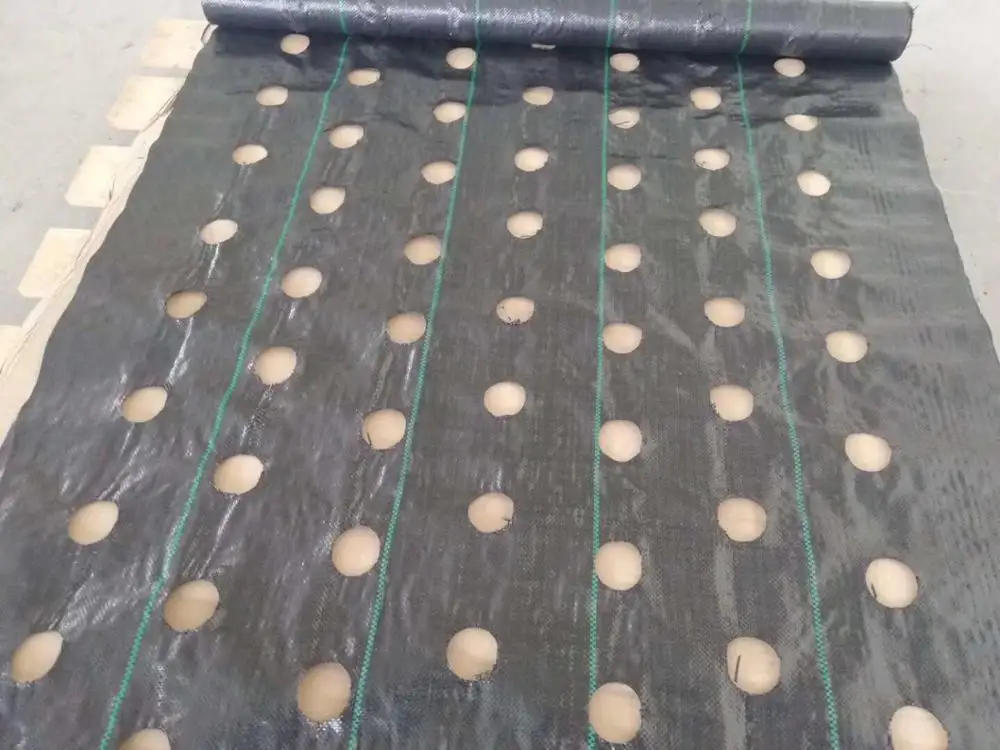 Low cost landscape fabric weed control fabric,dust proof rain water permeable woven cloth,garden weed block fabric