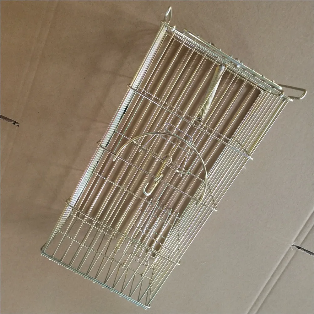 Chinese black Powder Coating Rabbit Cage trap