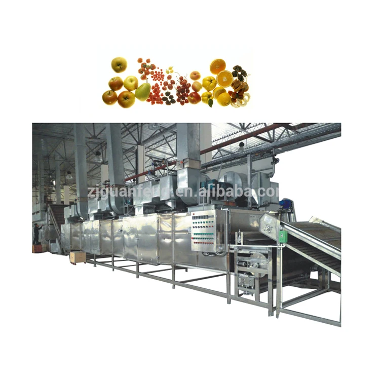Stainless Steel Belt Conveyor Dryer Dehydrated Onion Production Line